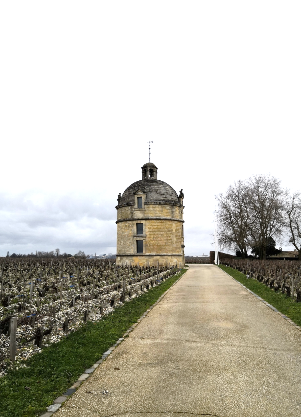 CHATEAU_LATOUR_2